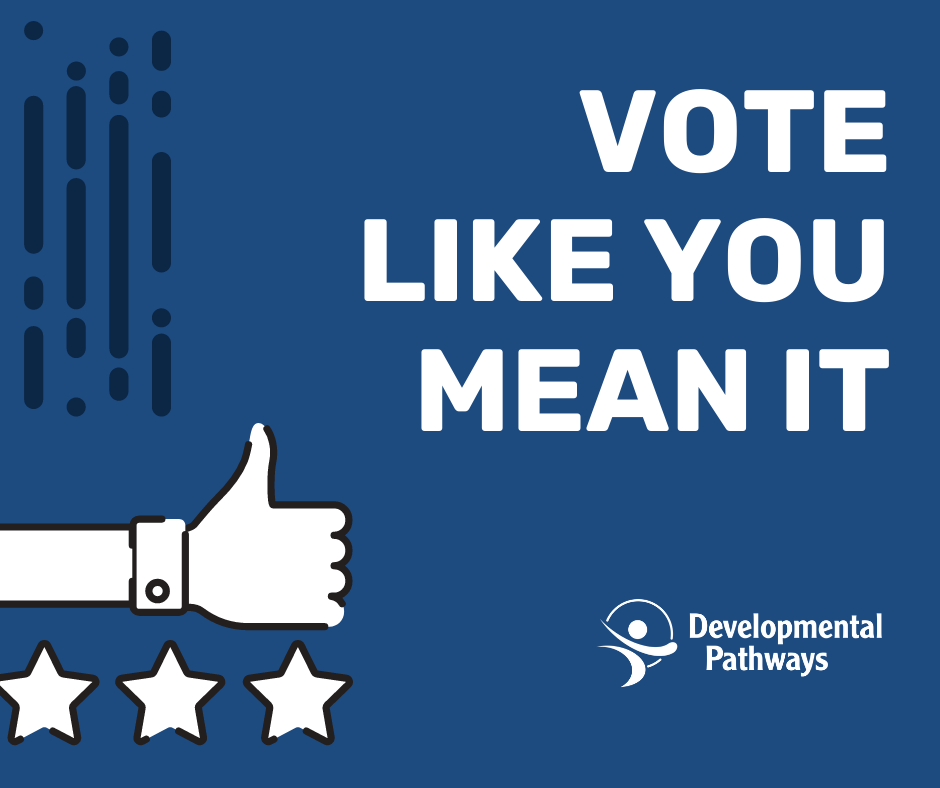 vote like you mean it ballot guide blog feature image