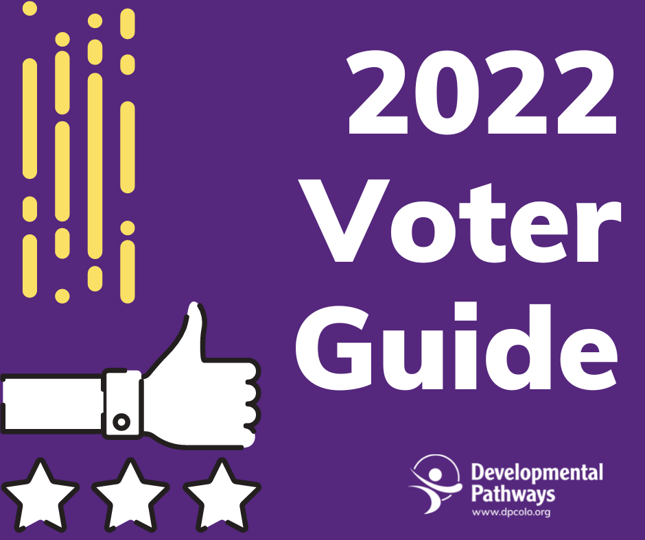 2022 voter guide flyer