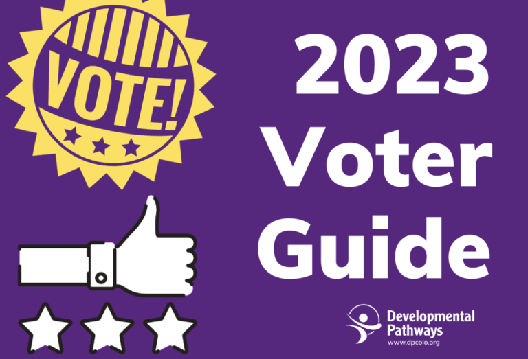 An illustration of a button that reads "Vote" and a hand with a thumbs up and three stars underneath. Reads "2023 Voter Guide". The DP logo.