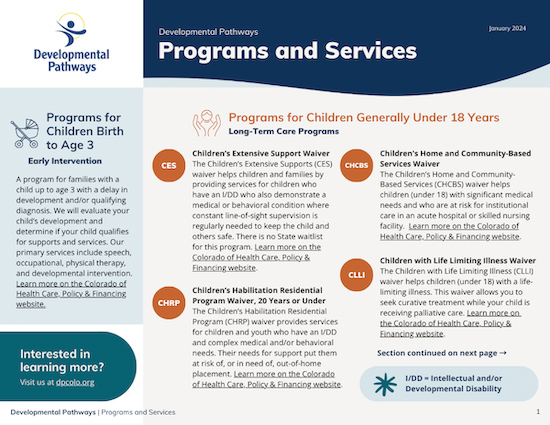 Programs and Services Flyer graphic in teal, blue and orange colors